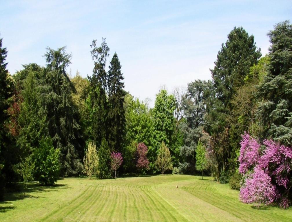 Appartement Du Chateau Du Grand Bouchet Ballan-Miré Eksteriør bilde
